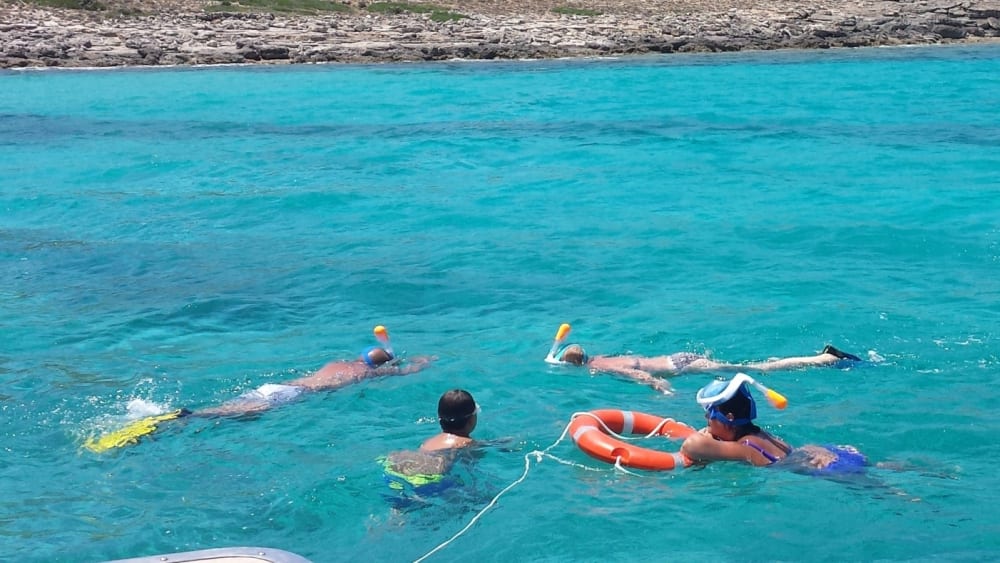 4-stündige Tour mit einem erfahrenen Skipper