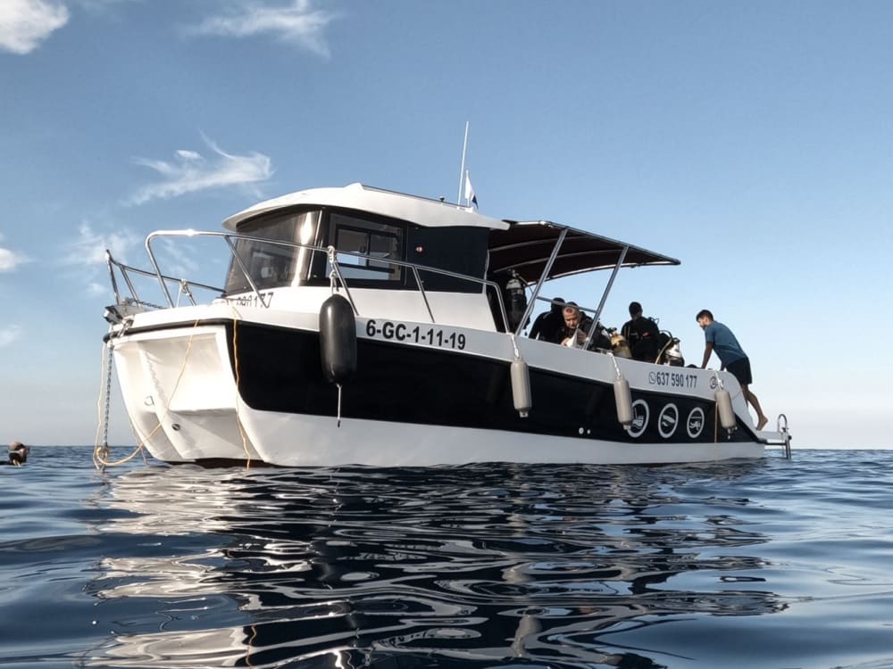 Excursión marítima de medio día por el sur de Gran Canaria