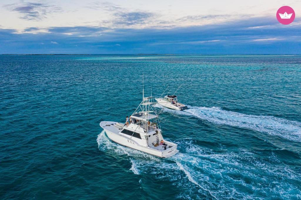 Cover of activity #5390