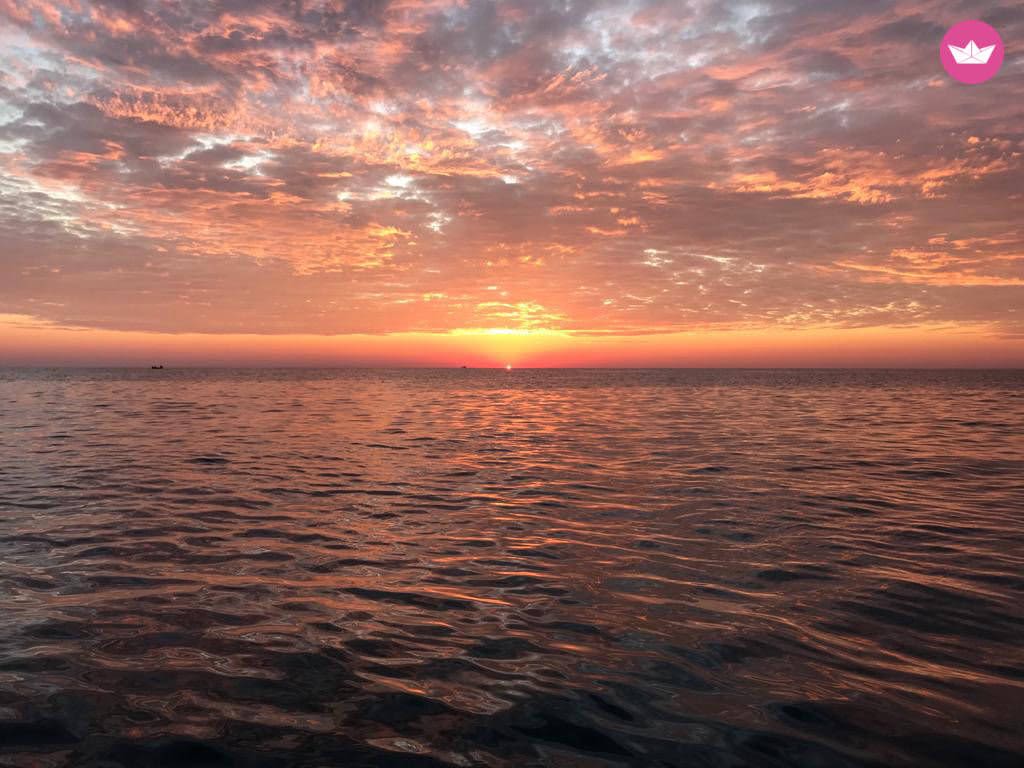 Cover of activity #16043