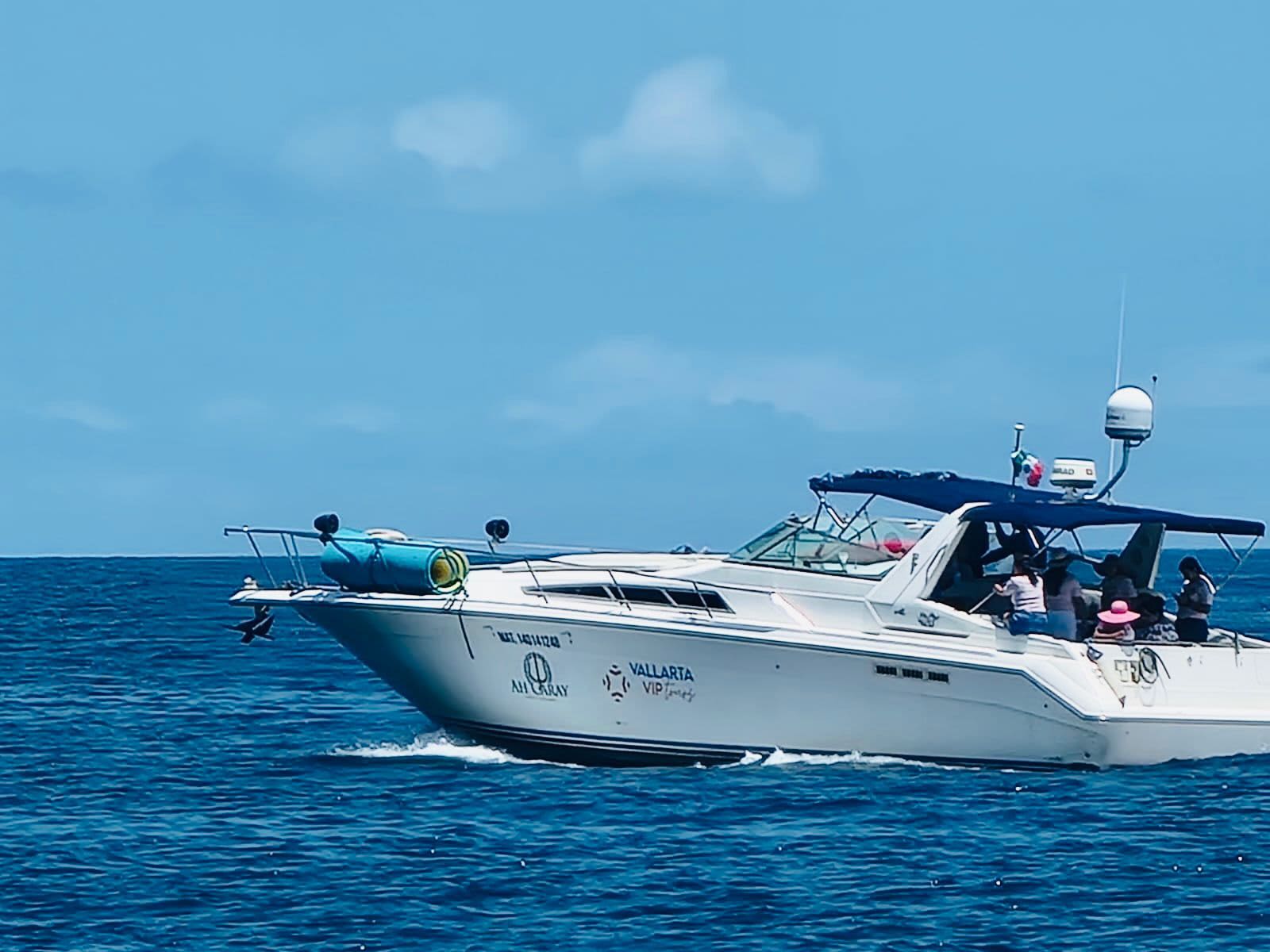 Cover of activity #26549