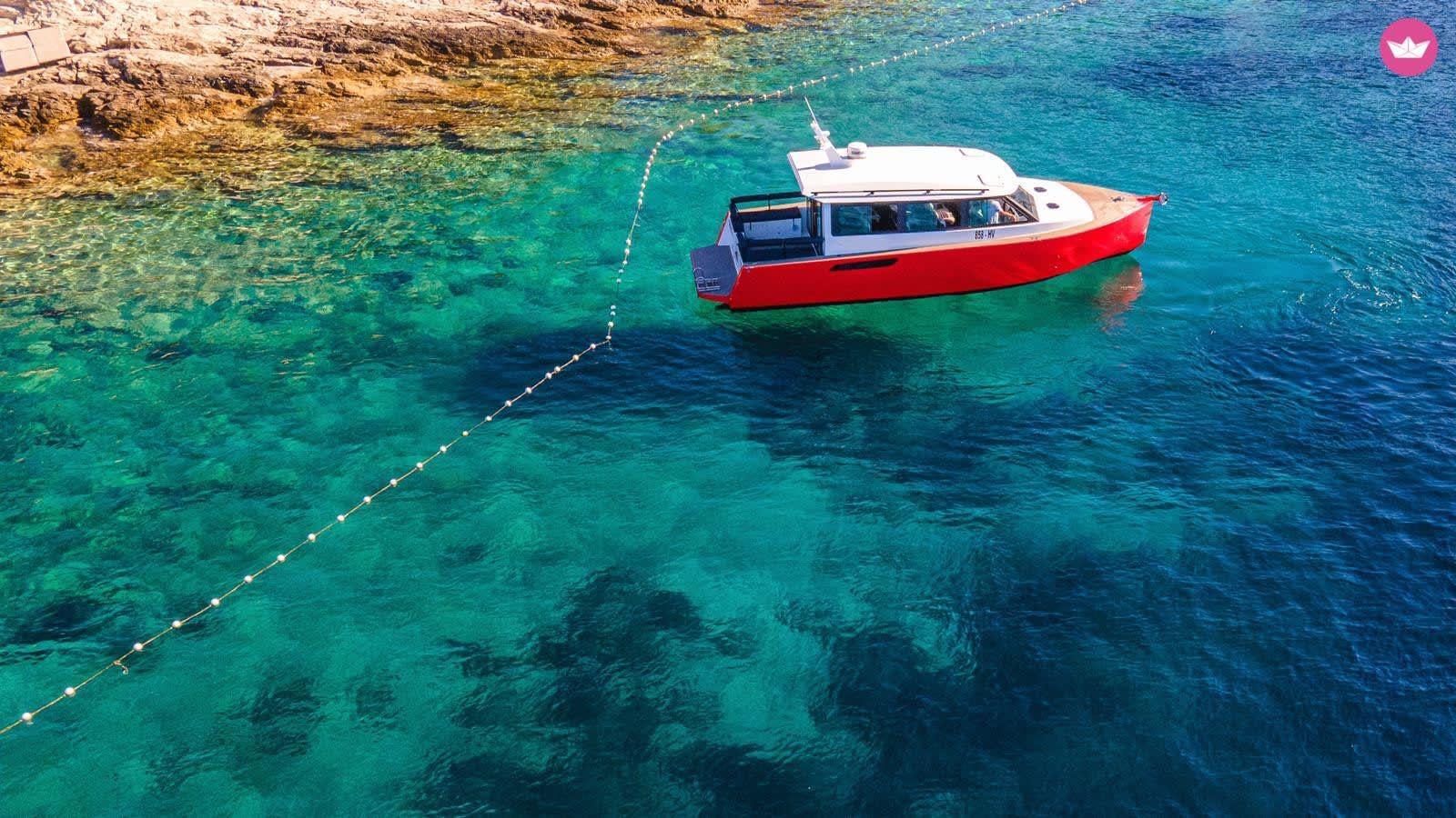 Cover of activity #9628