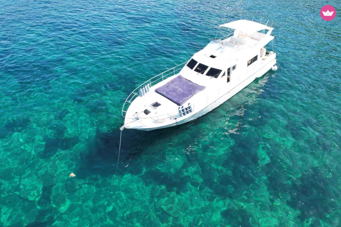 Cover of activity #19792