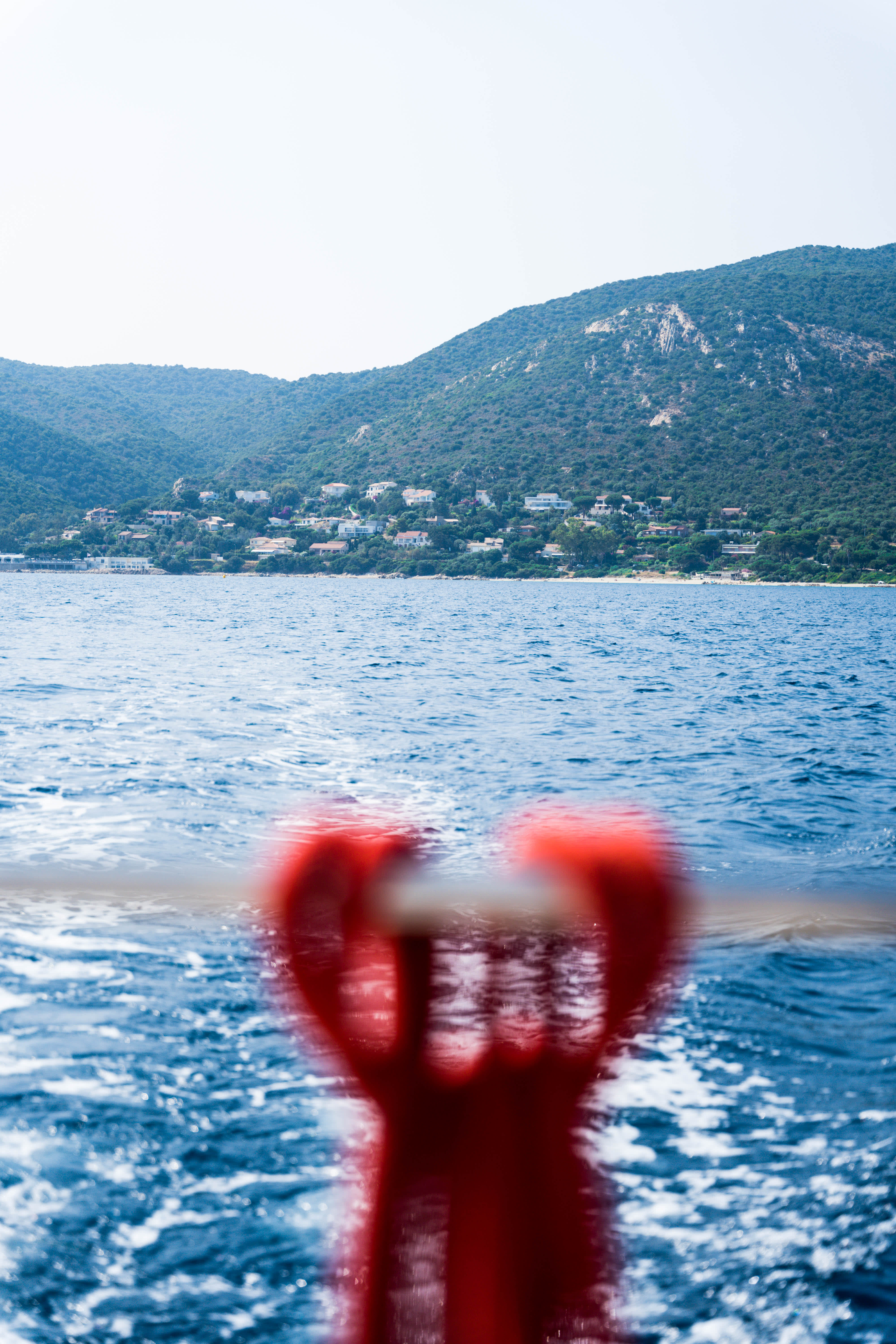 Cover of activity #9530