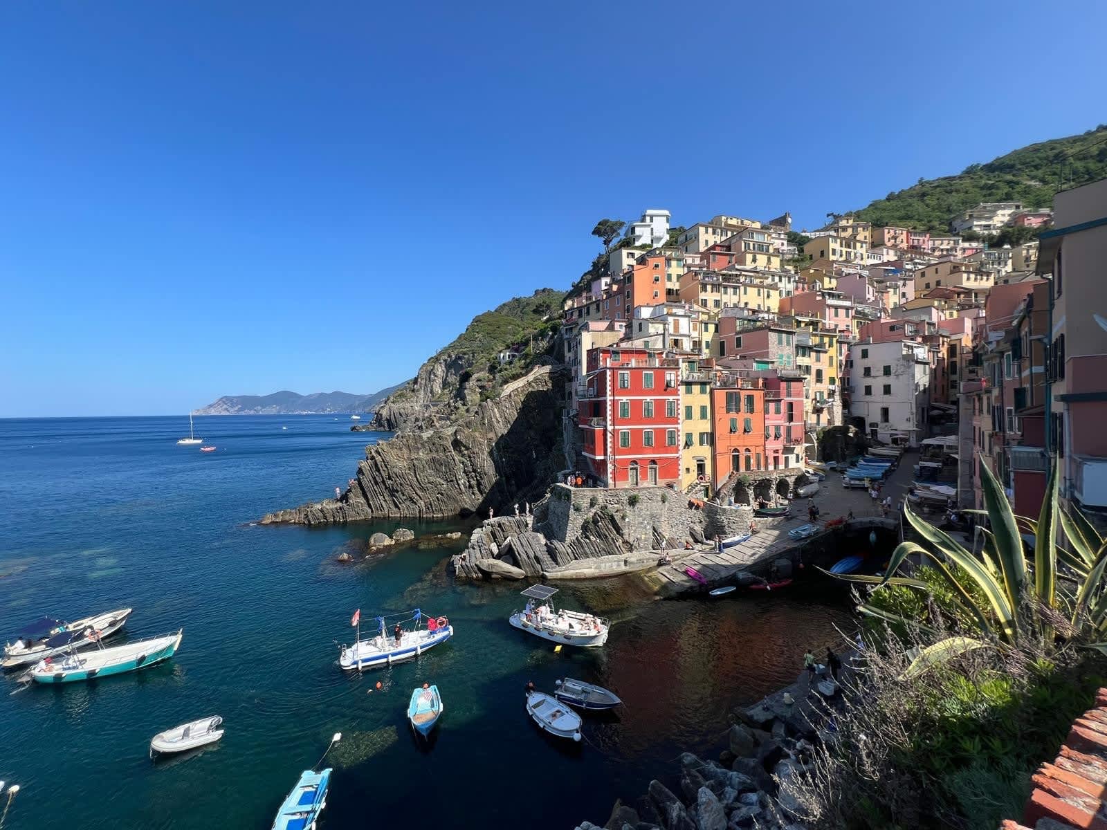 Cover of activity #17453