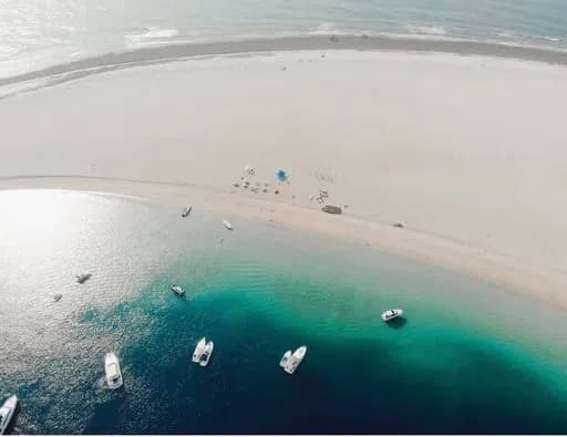 Cover of activity #617