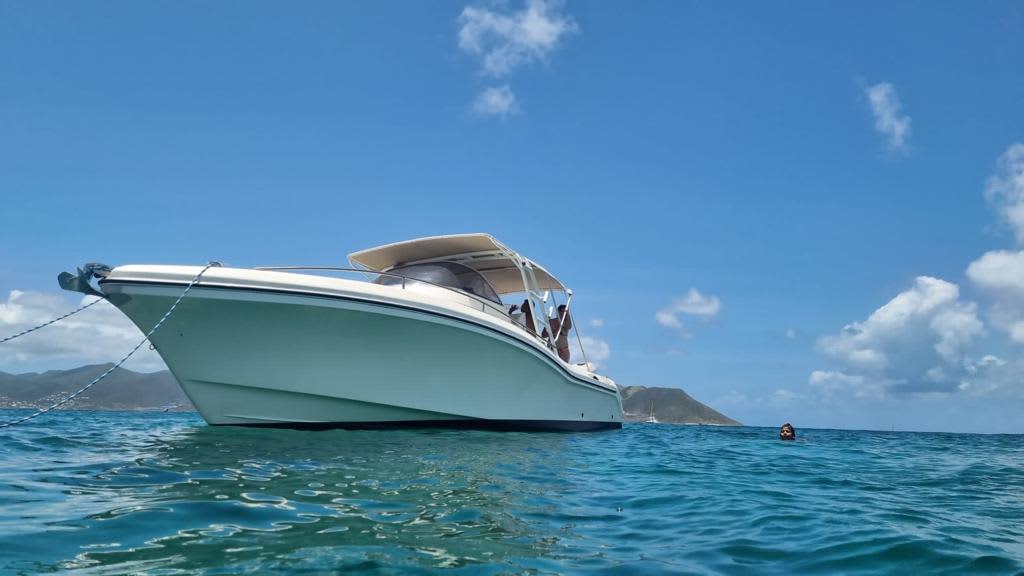 Cover of activity #26628