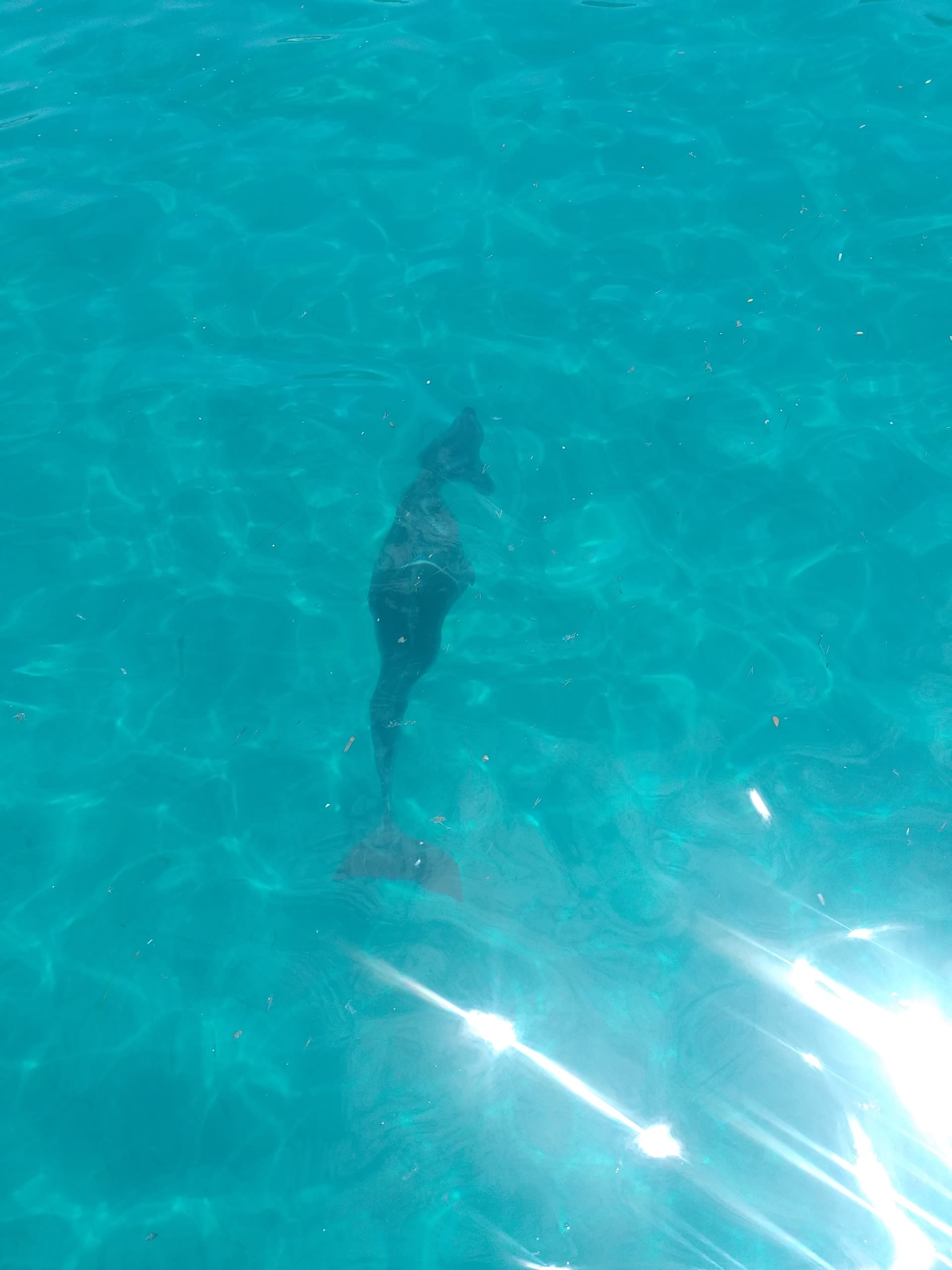 Geheime ontsnapping per zeilboot naar de verborgen schatten van de Agriates – All-inclusive dag (prijs per persoon 120€ volwassenen 80€ kinderen)