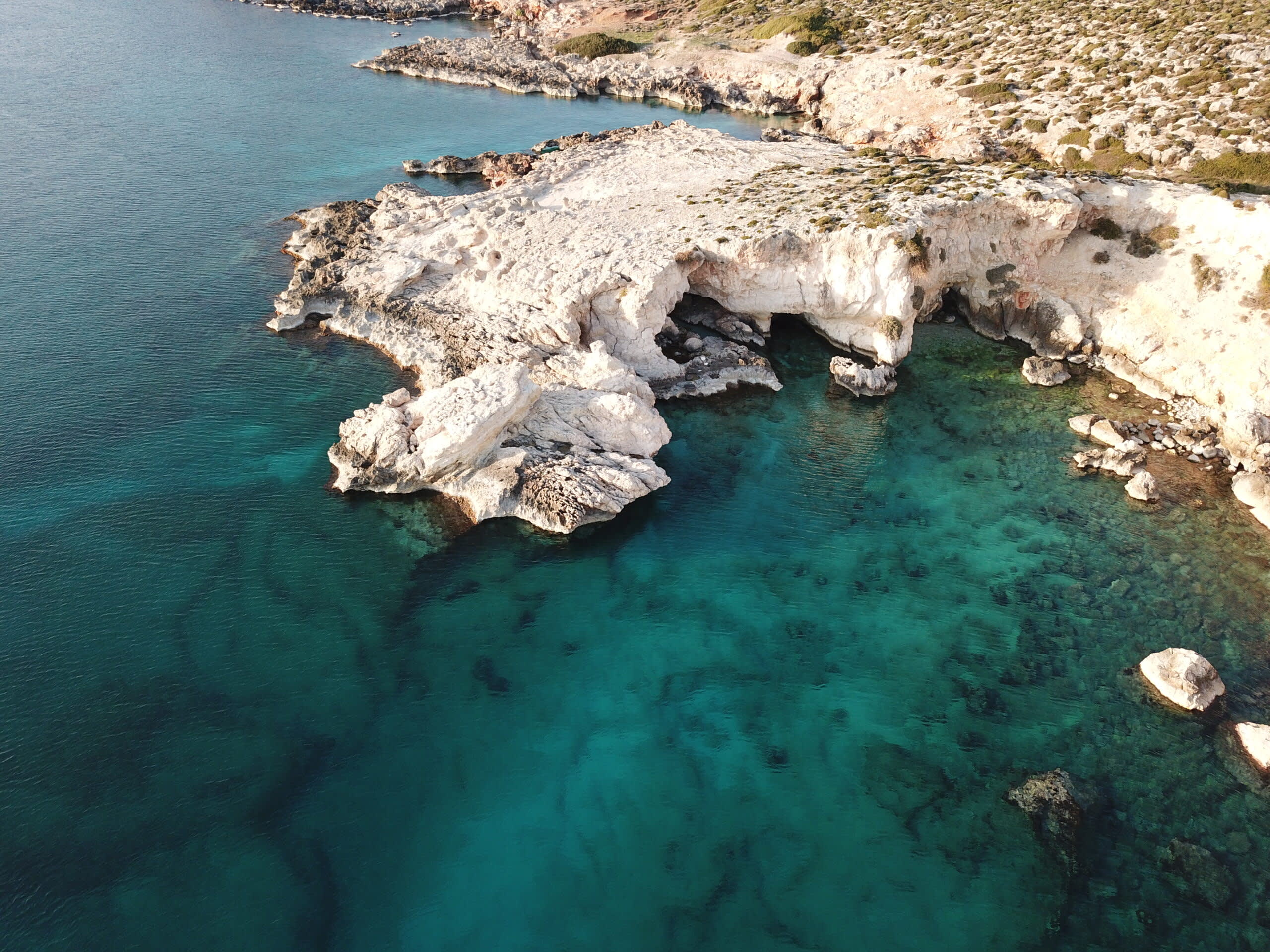 Cover of activity #13930