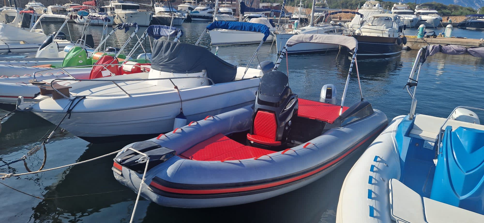 Cover of activity #17724