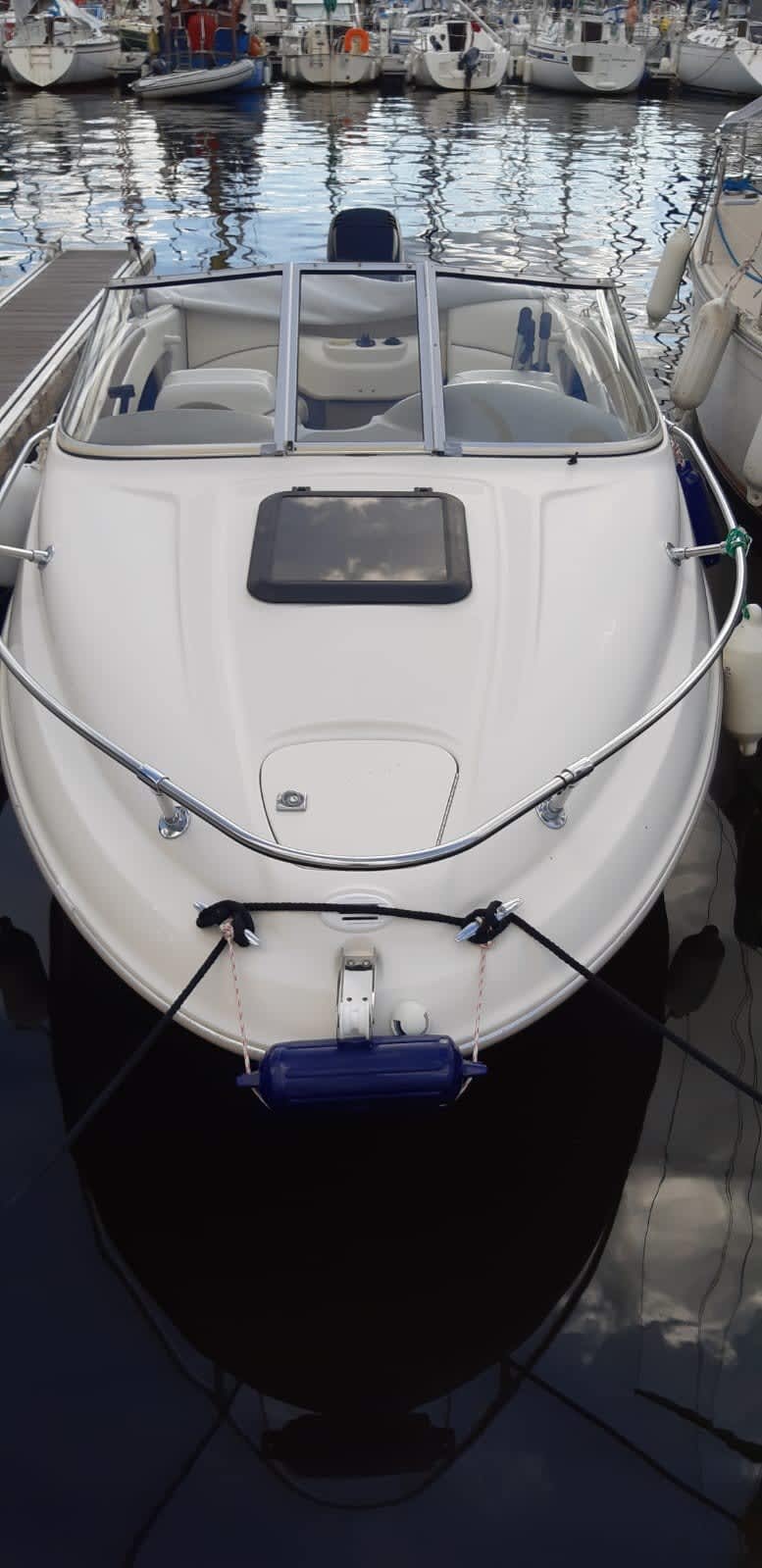 Cover of activity #26733