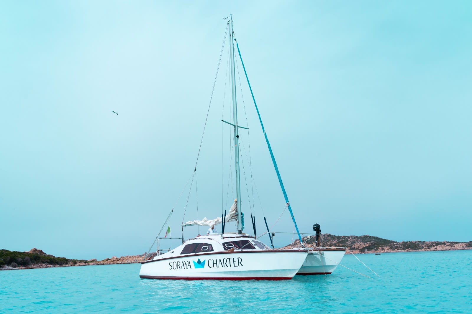 Cover of activity #4789