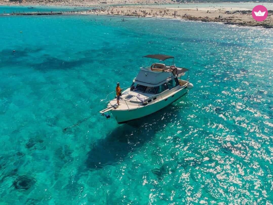 Cover of activity #18633