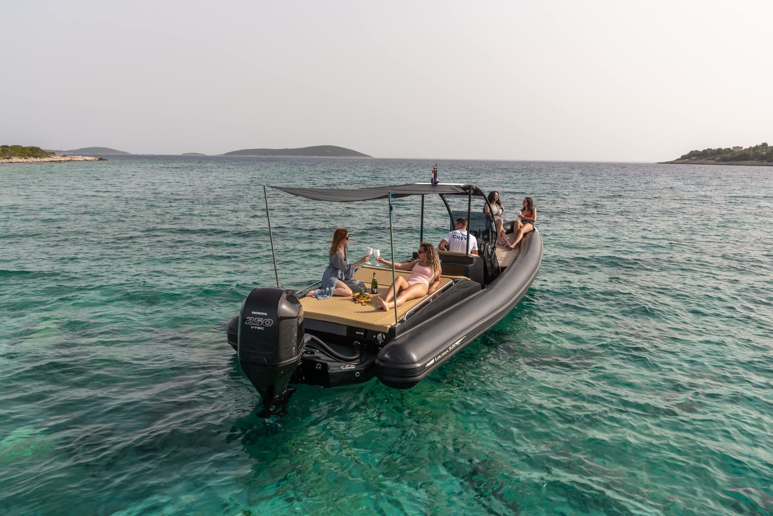 Cover of activity #8239