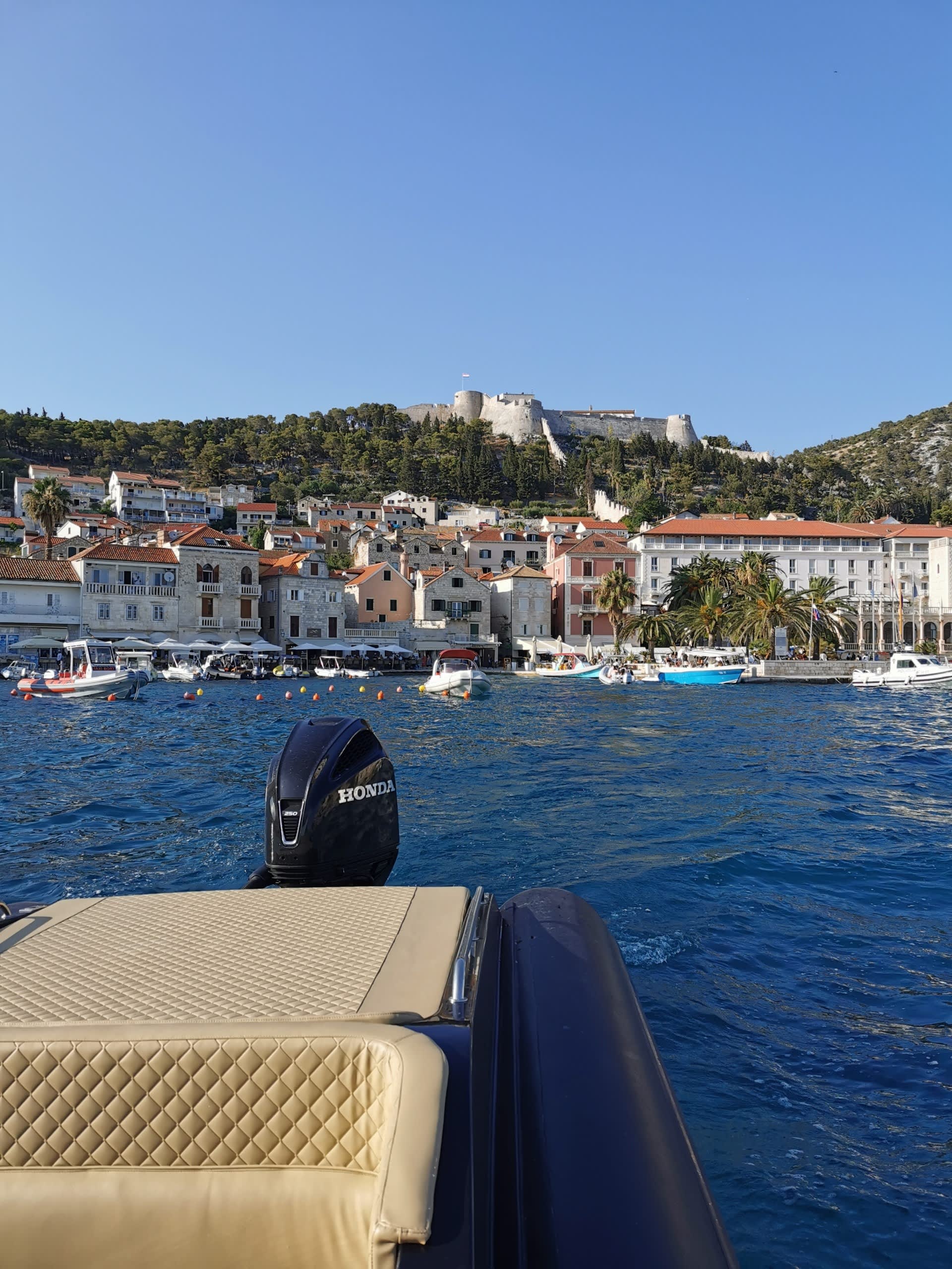 Cover of activity #8244