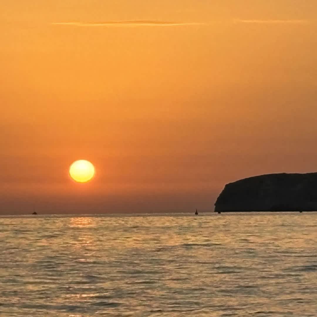 Cover of activity #1805