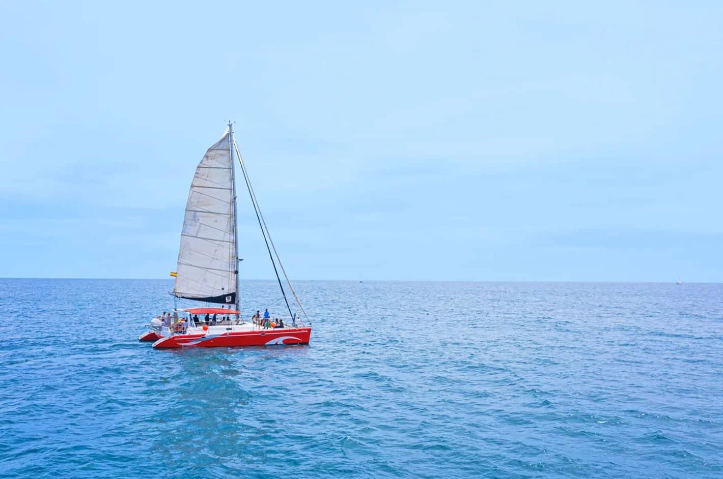 Cover of activity #5899