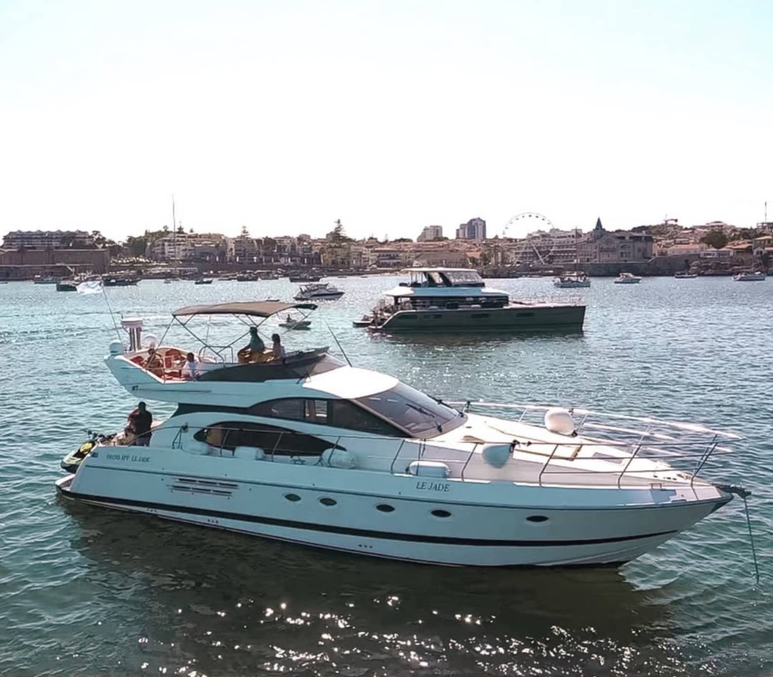 Cover of activity #2222