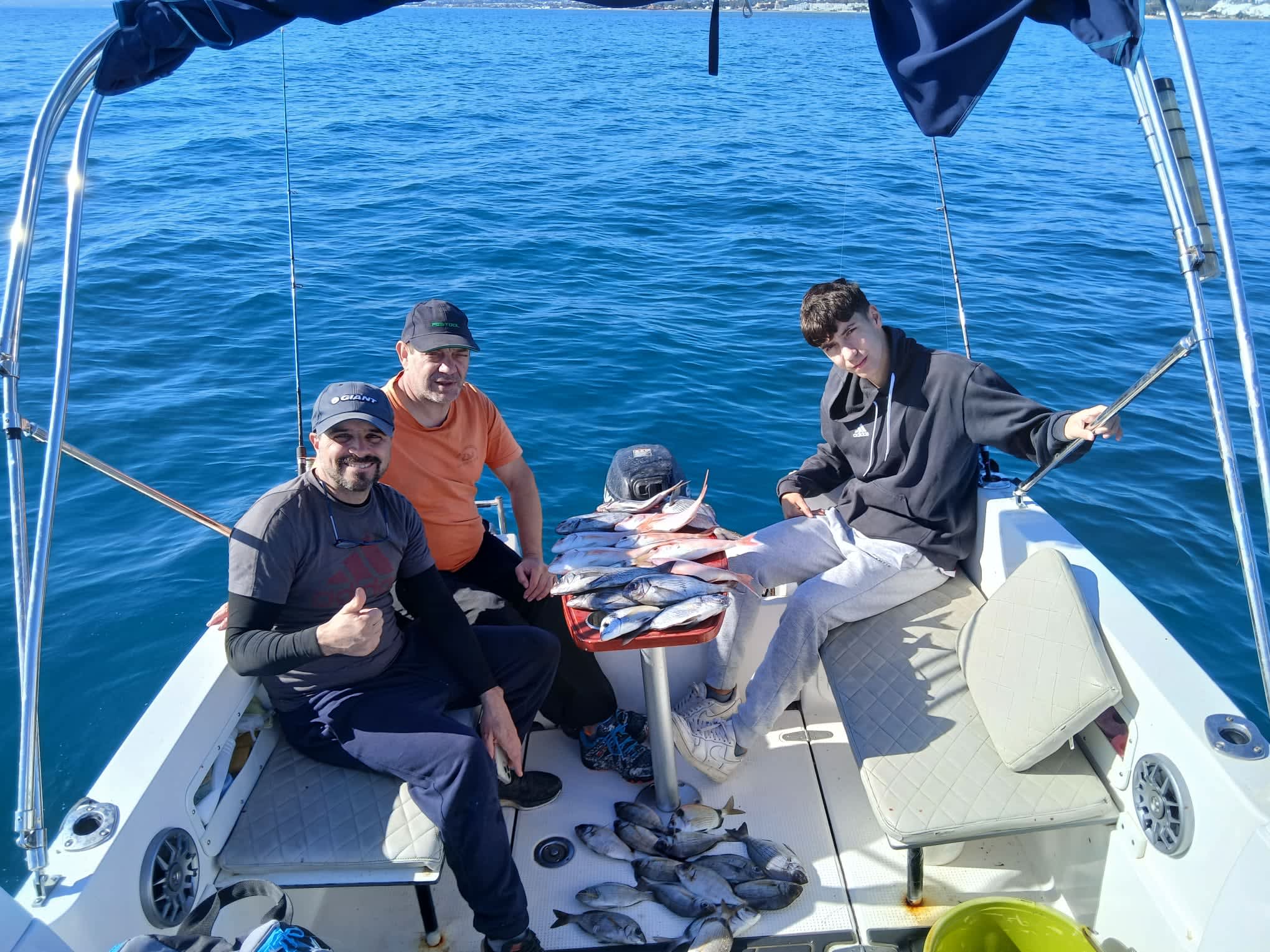 Cover of activity #15782