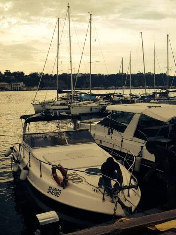 Cover of activity #26884