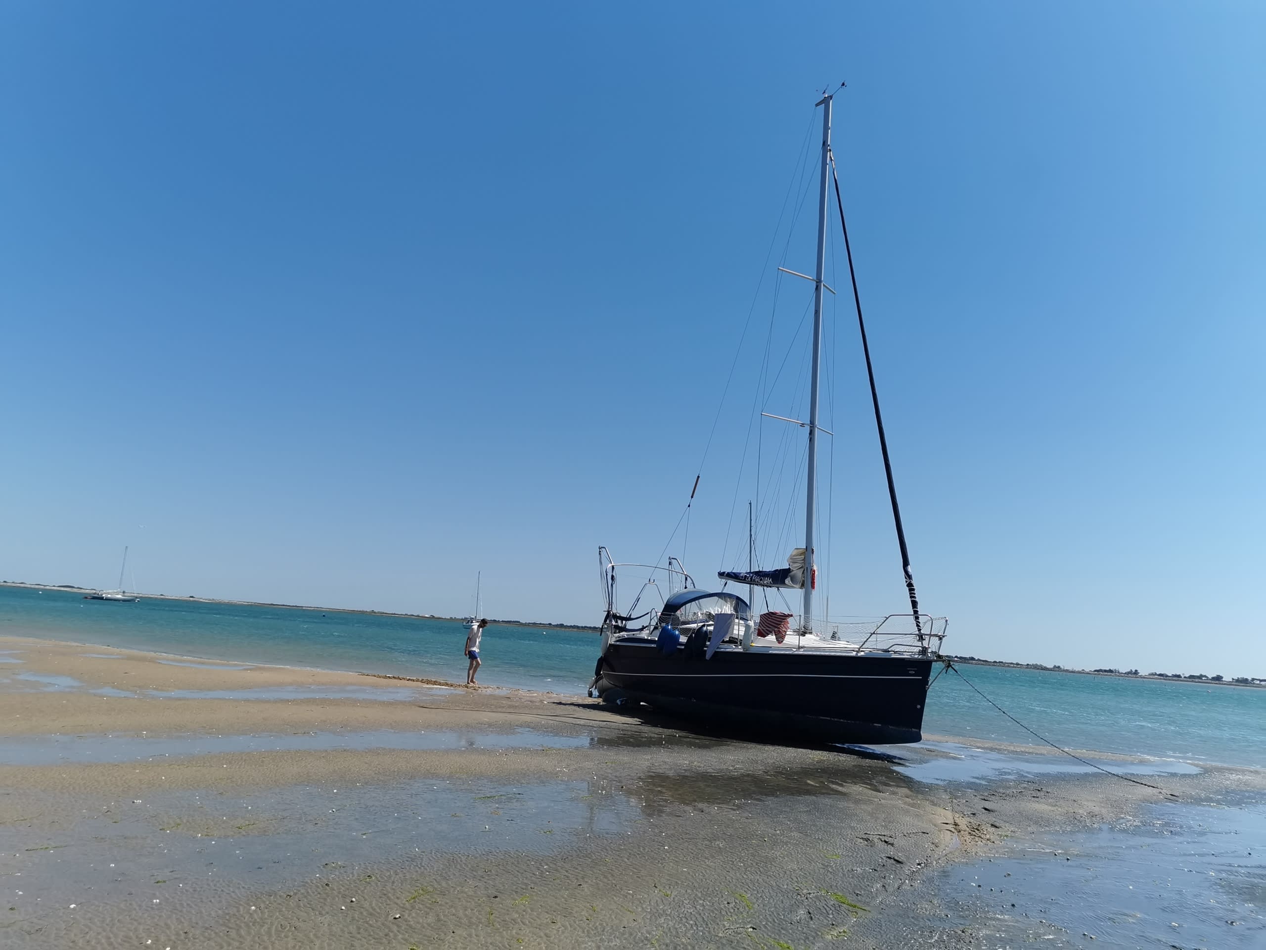 Cover of activity #21302