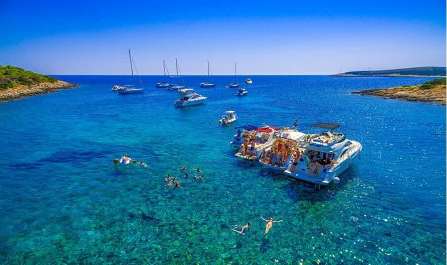 Cover of activity #1238