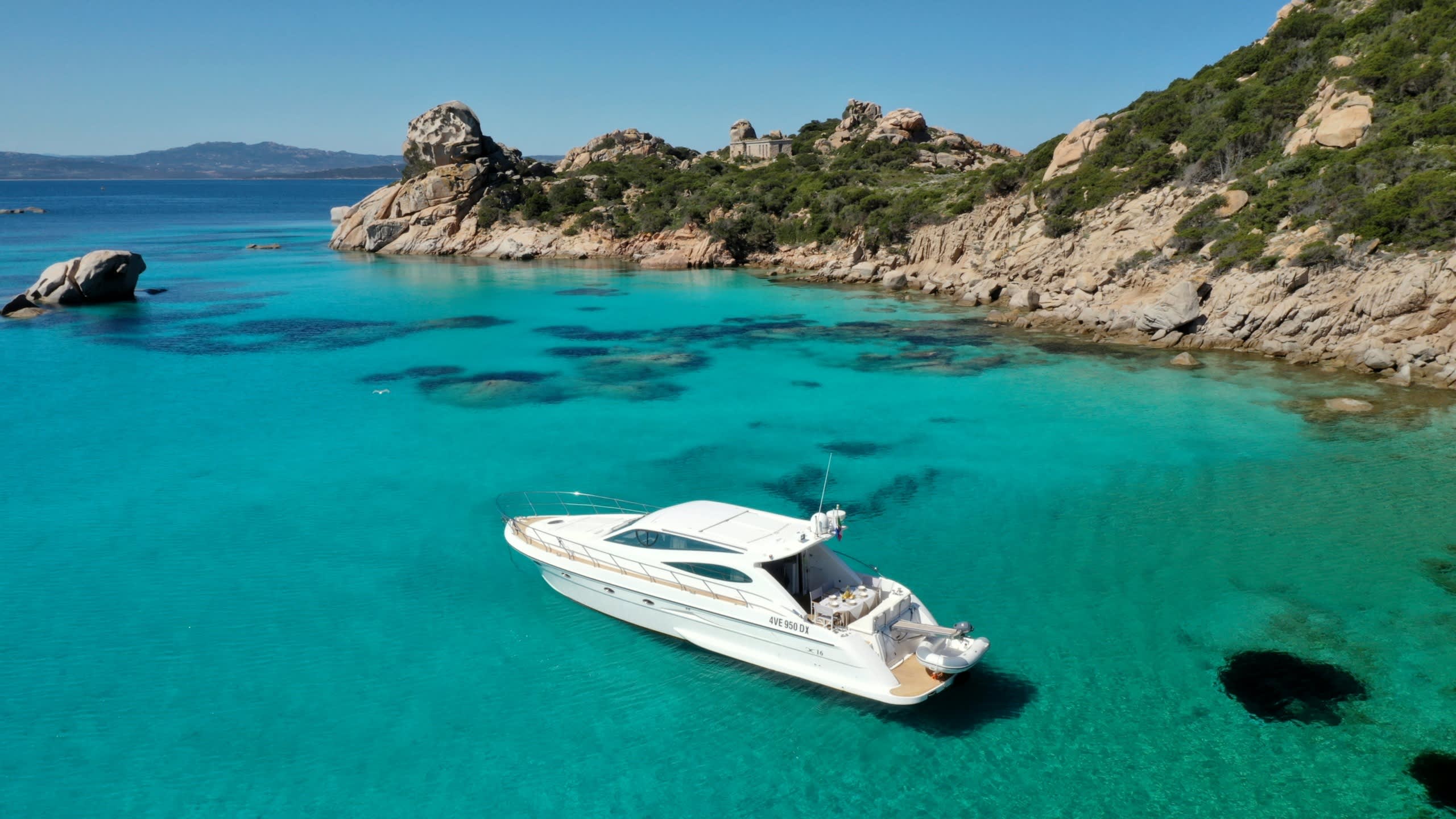 Cover of activity #2687