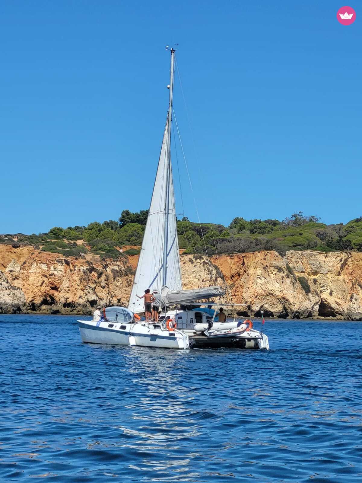 Cover of activity #5203