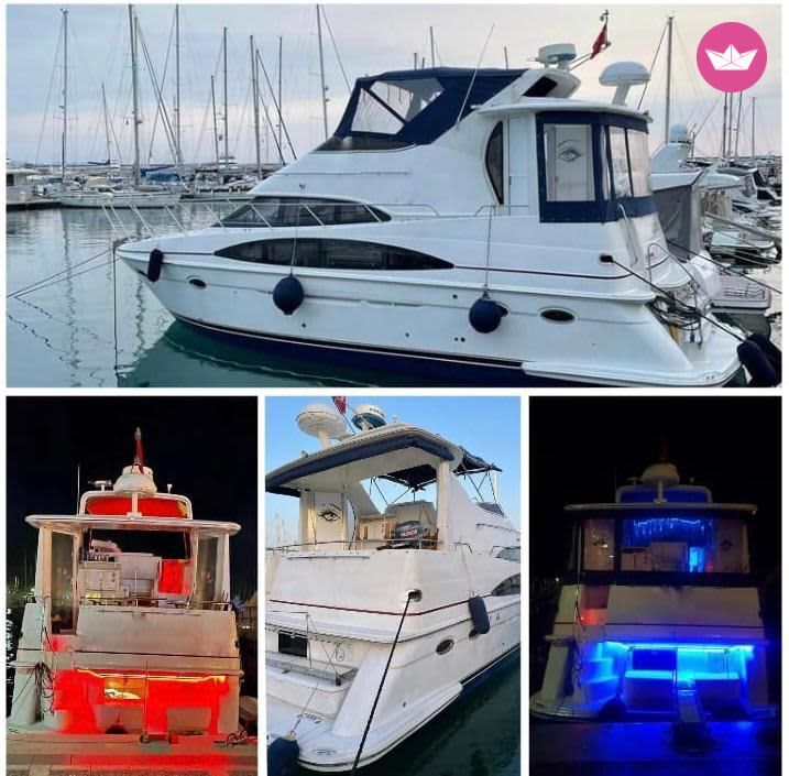 Cover of activity #7215