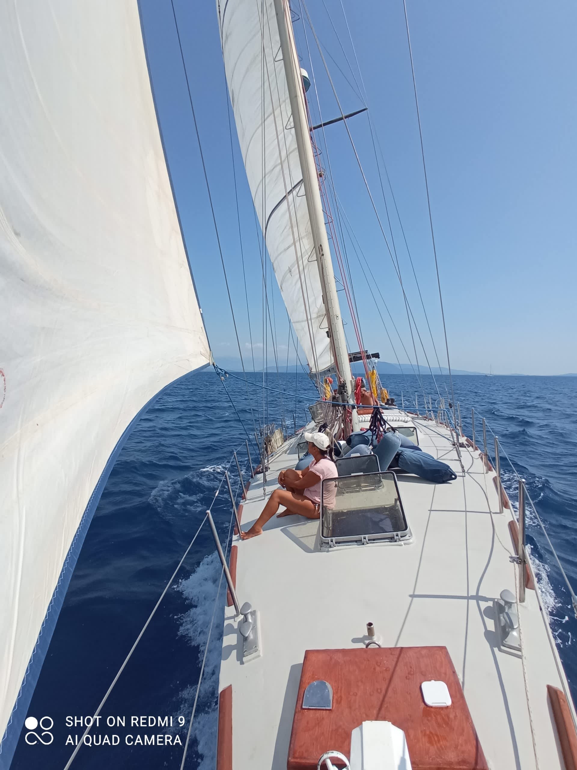 Cover of activity #22628