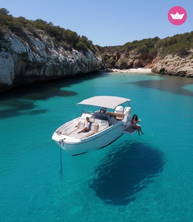 Cover of activity #15885