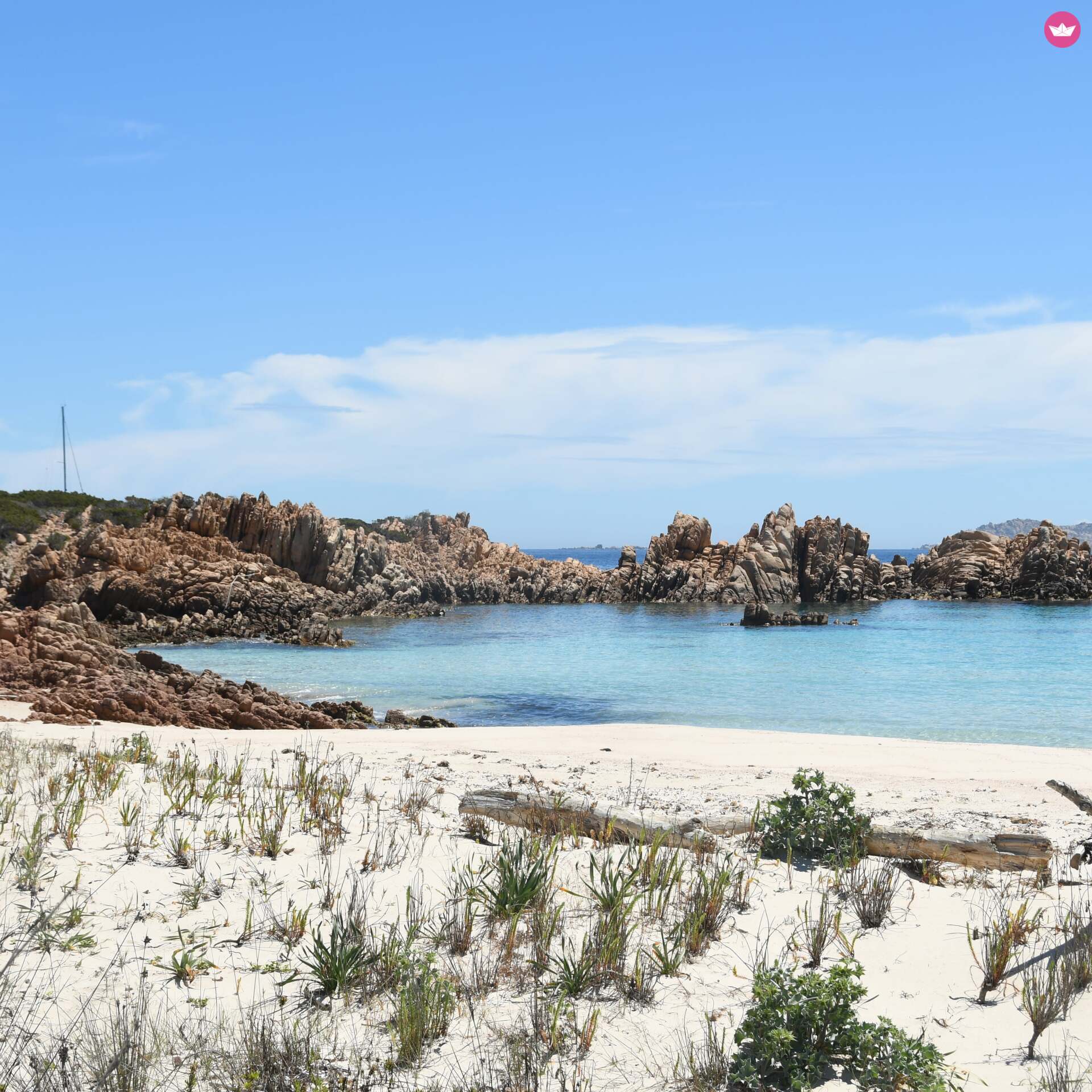 Cover of activity #5721