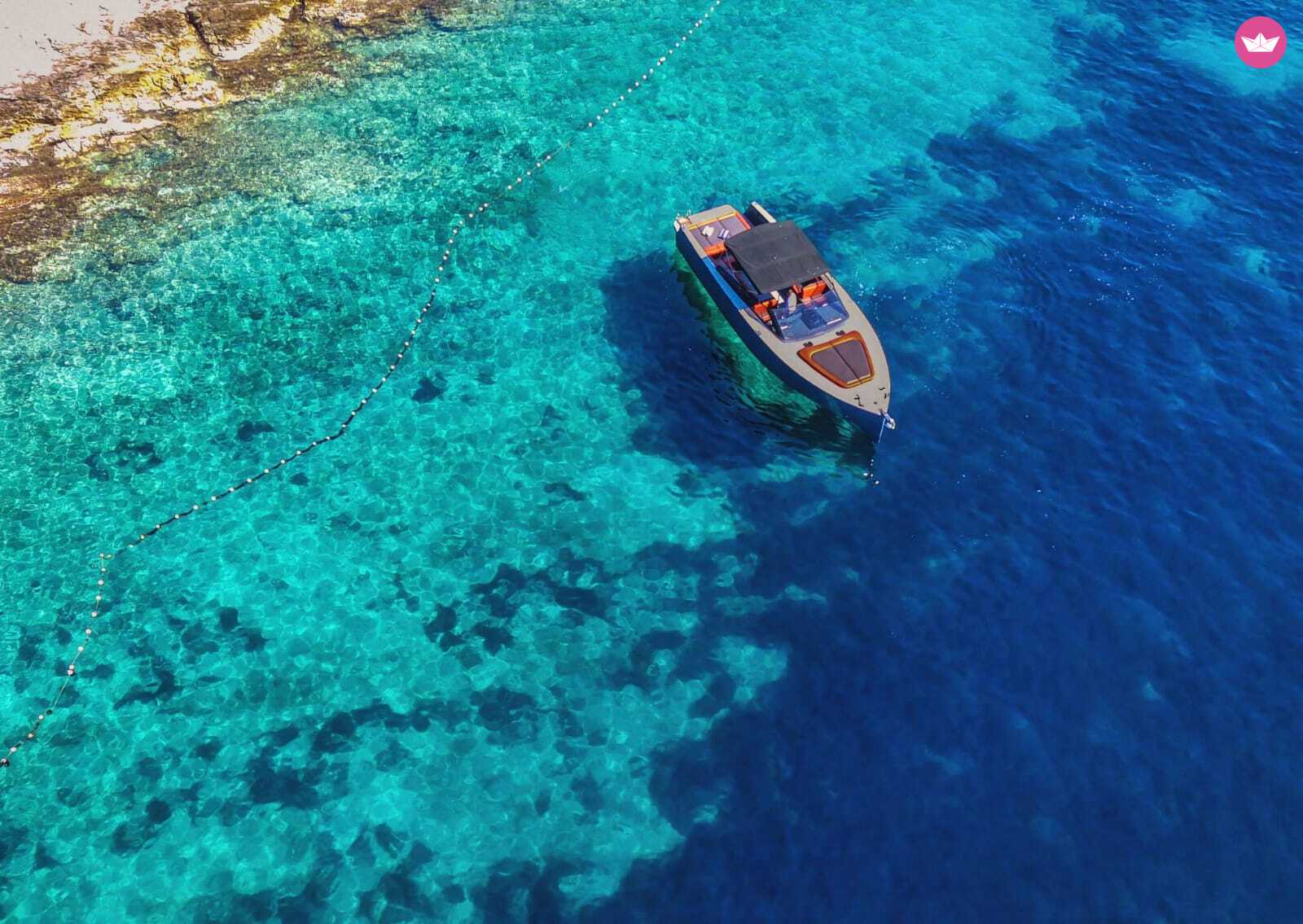 Cover of activity #9624