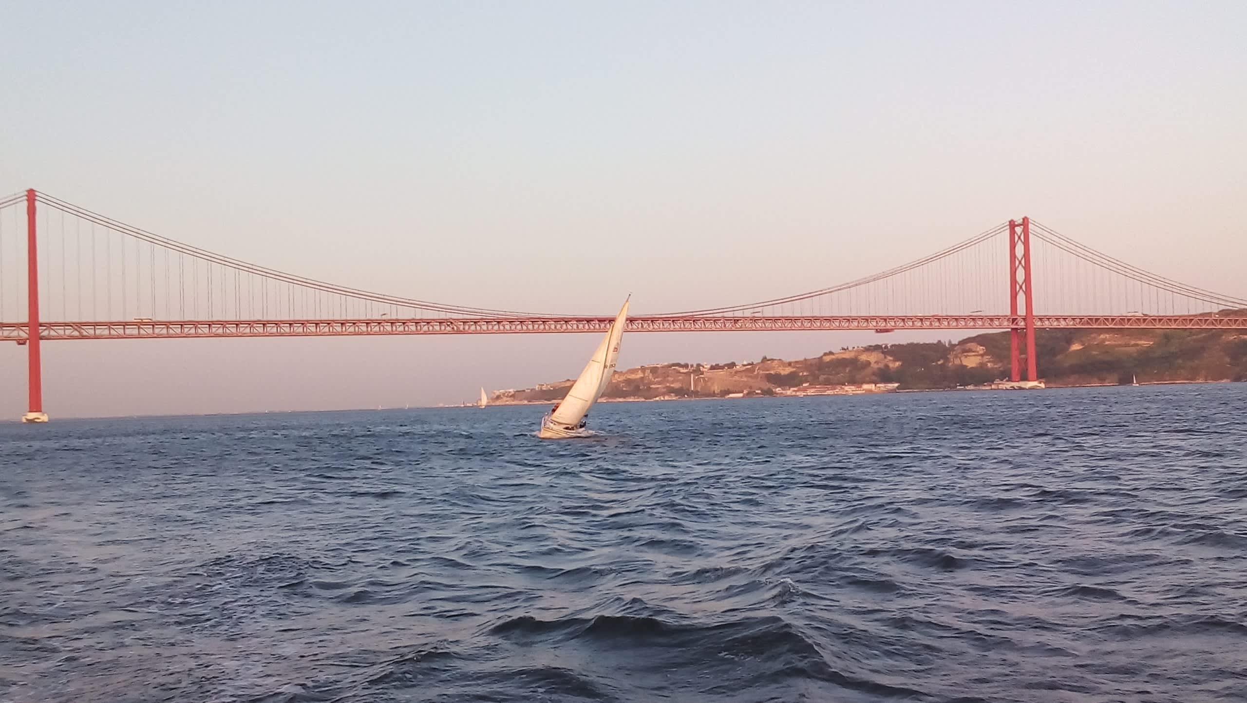 Cover of activity #27098