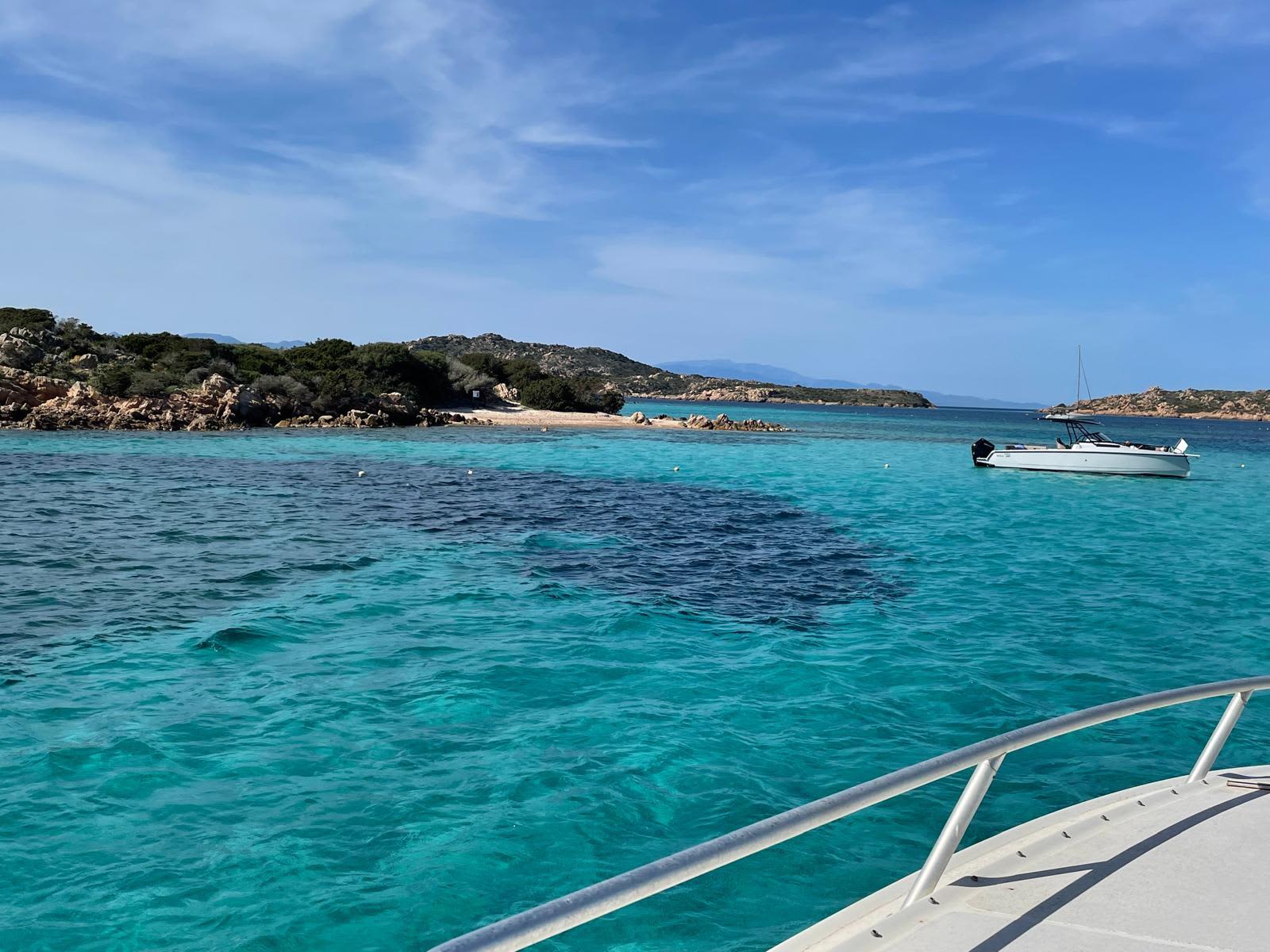 Cover of activity #17510