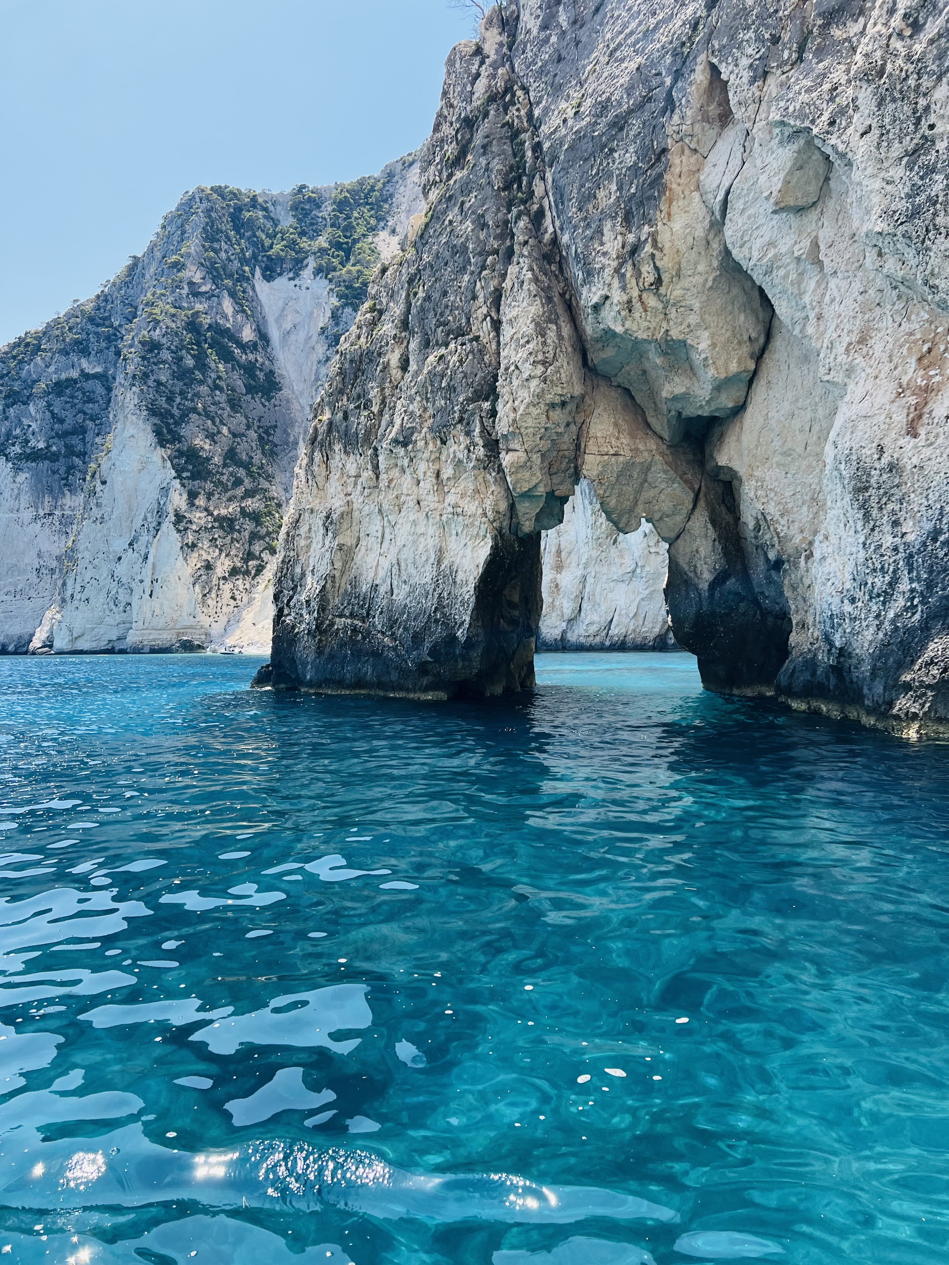 Cover of activity #6979