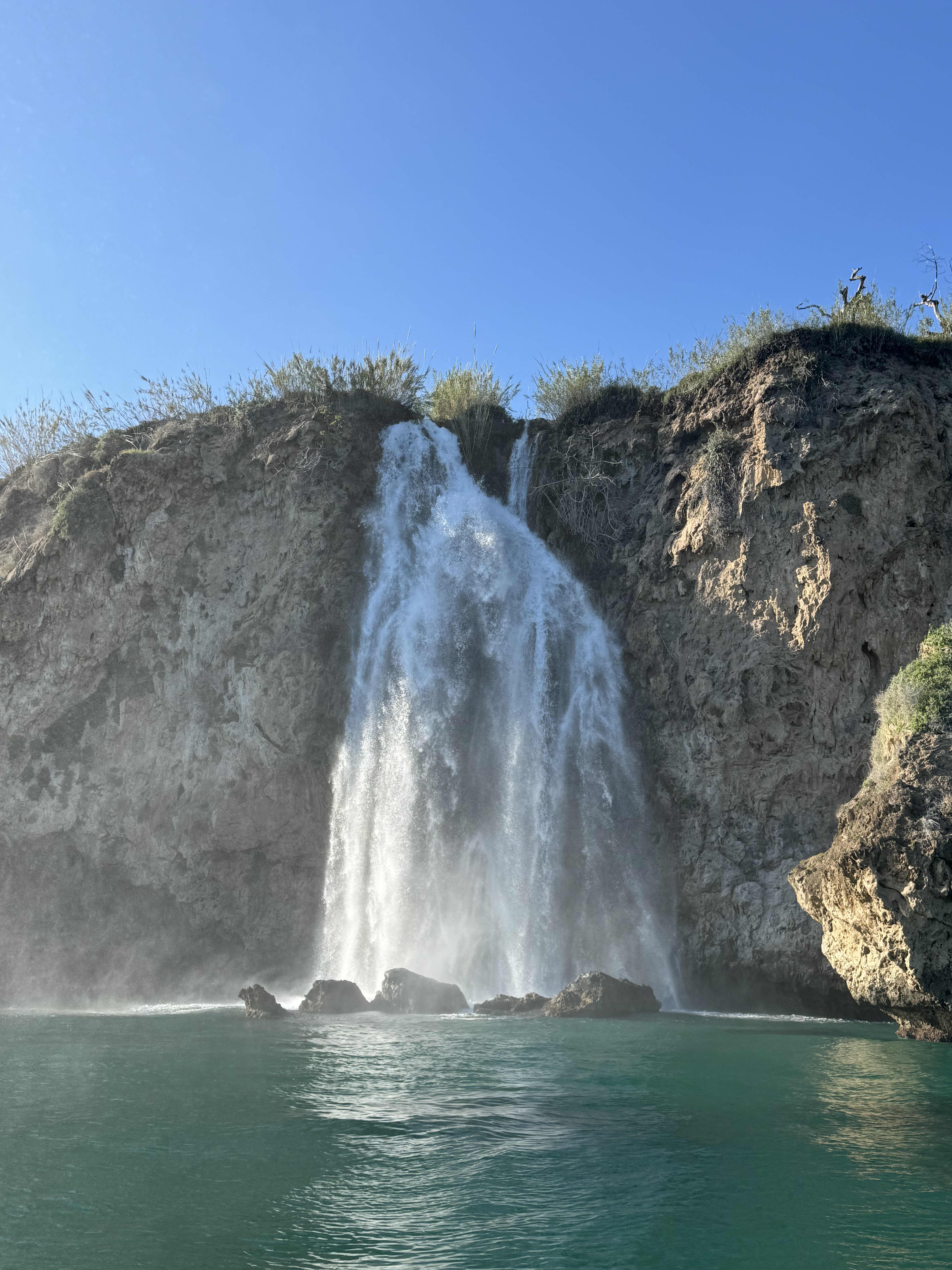 Cover of activity #8978