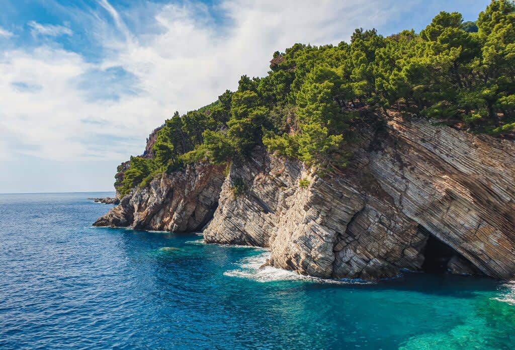 Cover of activity #5102