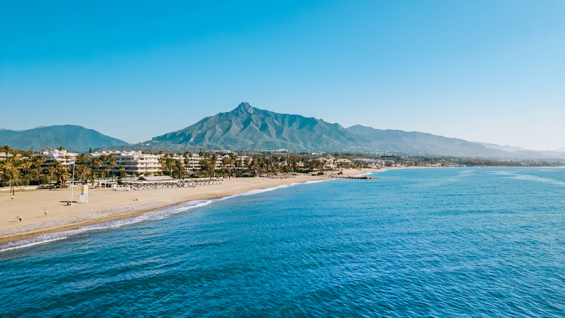 Cover of activity #4791