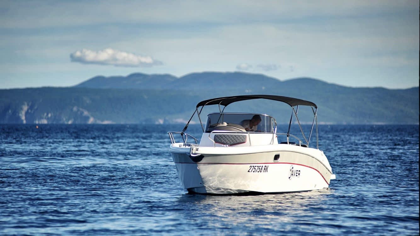 Cover of activity #27025