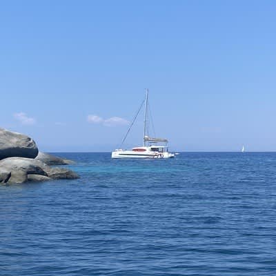 Cover of activity #17719