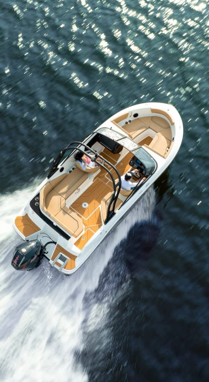 Cover of activity #26907