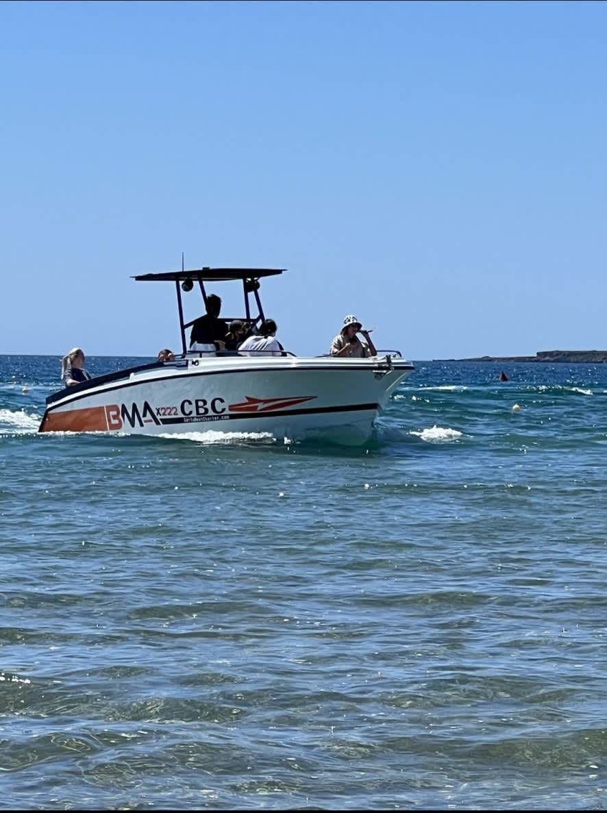 Cover of activity #14184