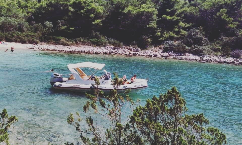 Cover of activity #27051