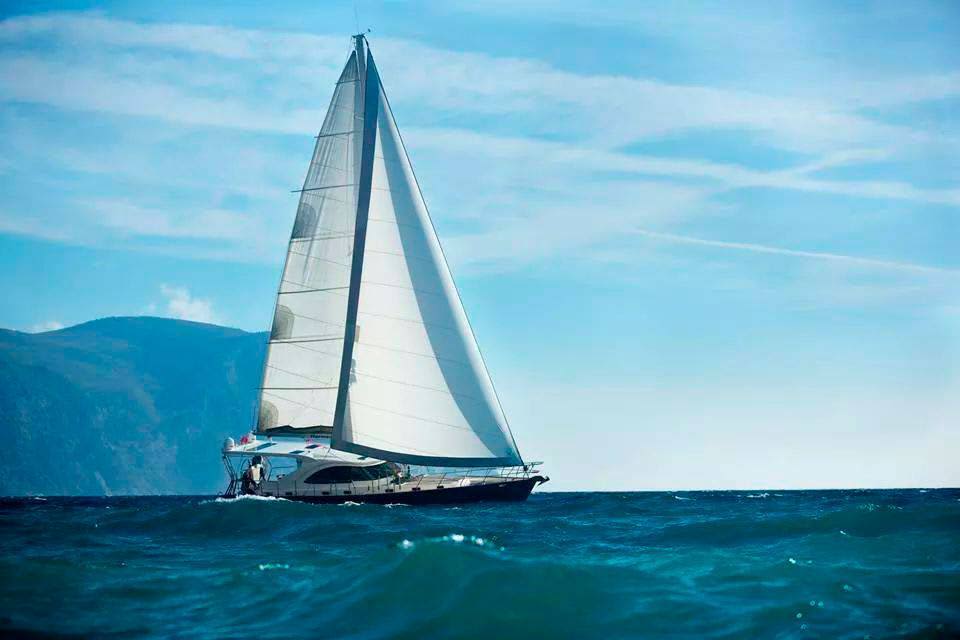 Cover of activity #27174