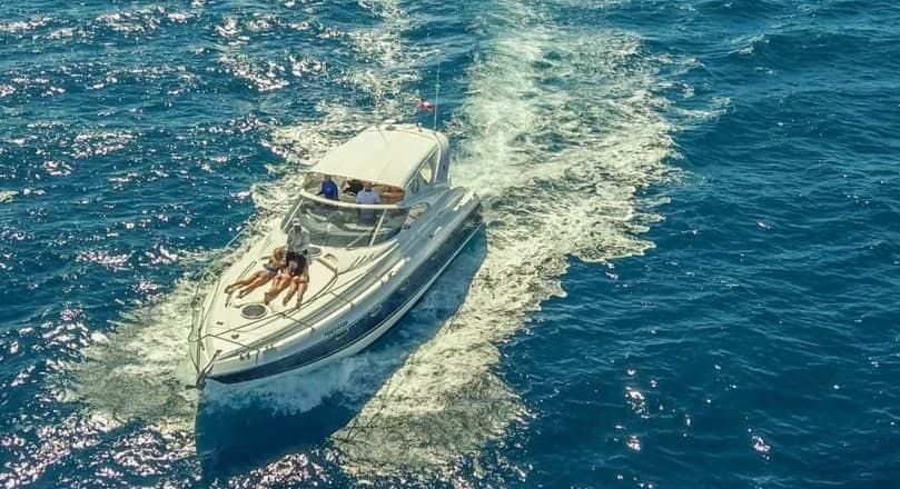 Cover of activity #5169