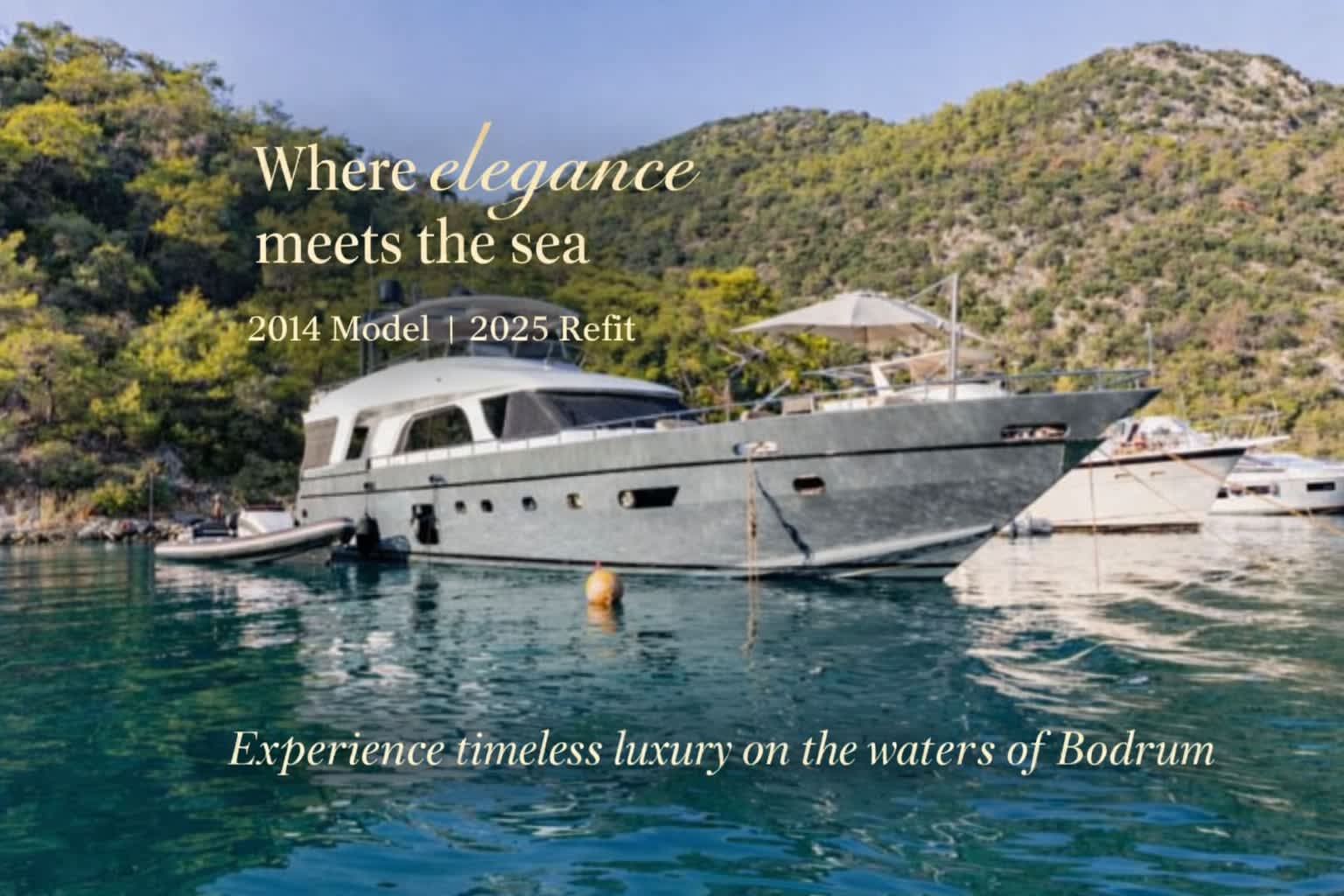 Cover of activity #18530