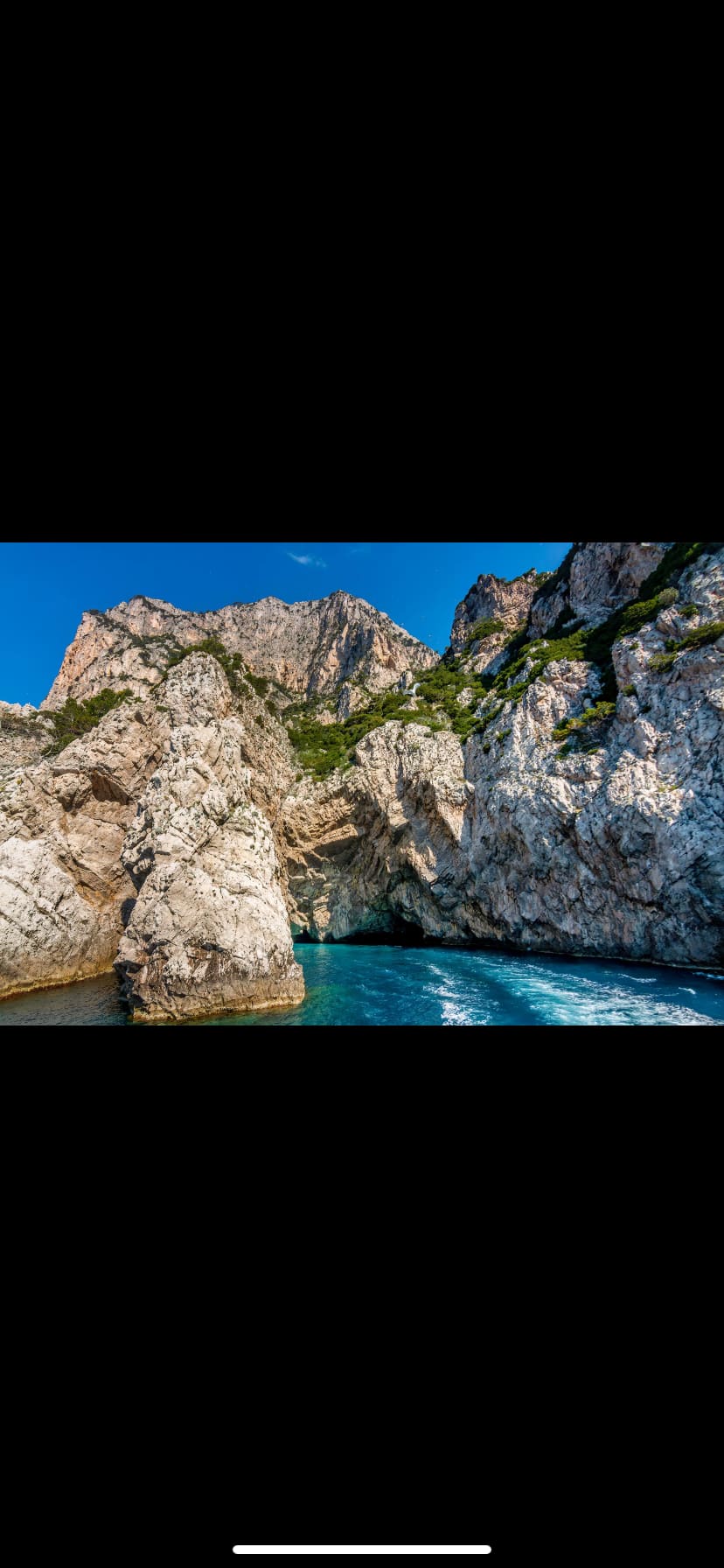 Gallery: image #16