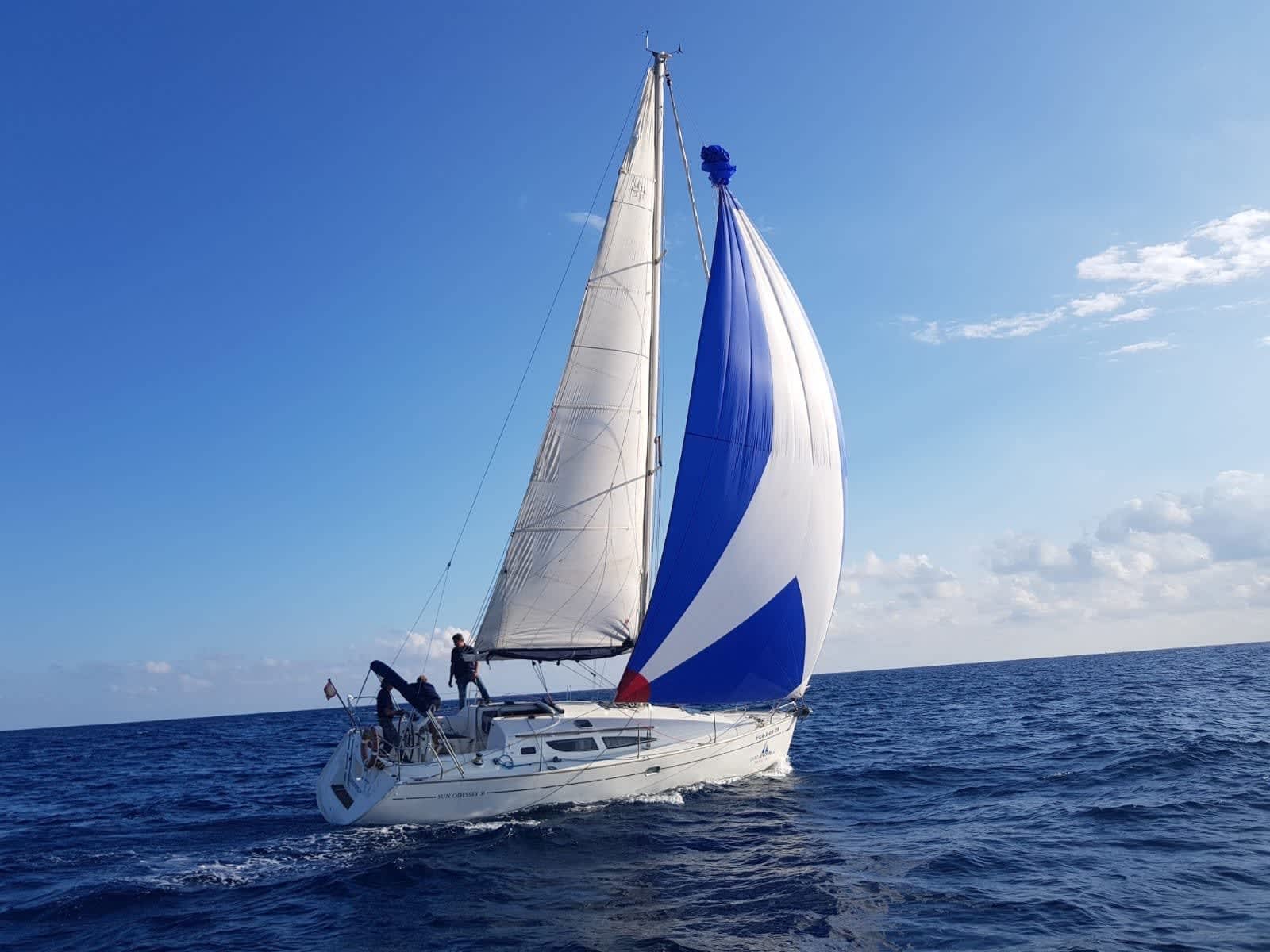 Cover of activity #23317