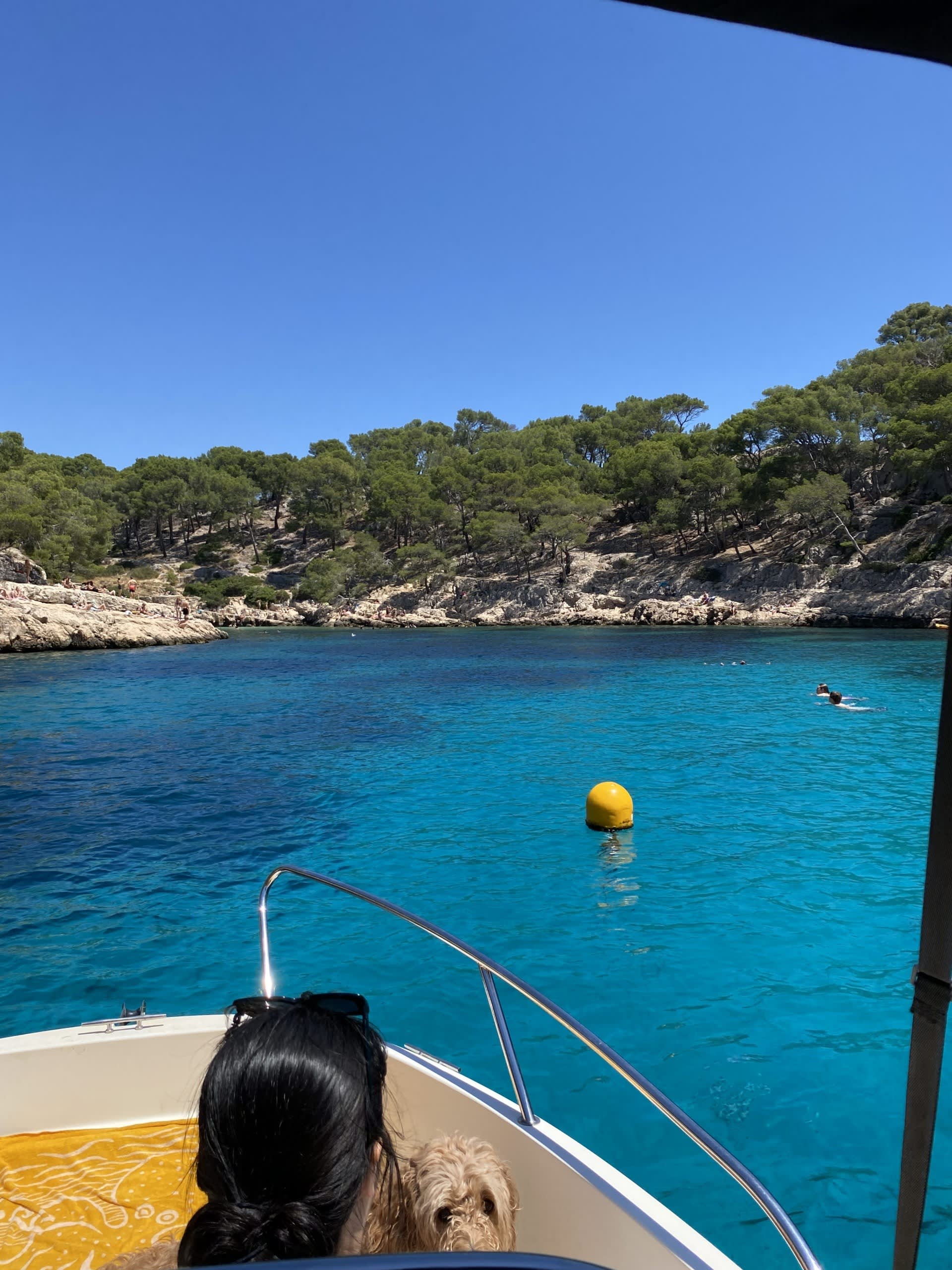 Cover of activity #23335